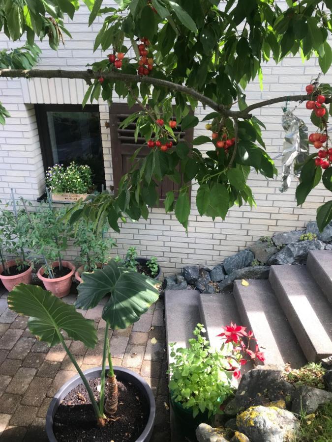 Ferienwohnung Am Weiltalradweg Weinbach Zewnętrze zdjęcie